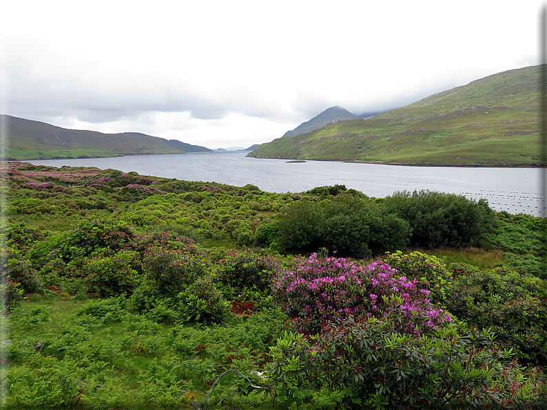 foto Parco nazionale di Connemara